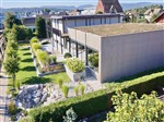 Roggwil Anlage MB (51)